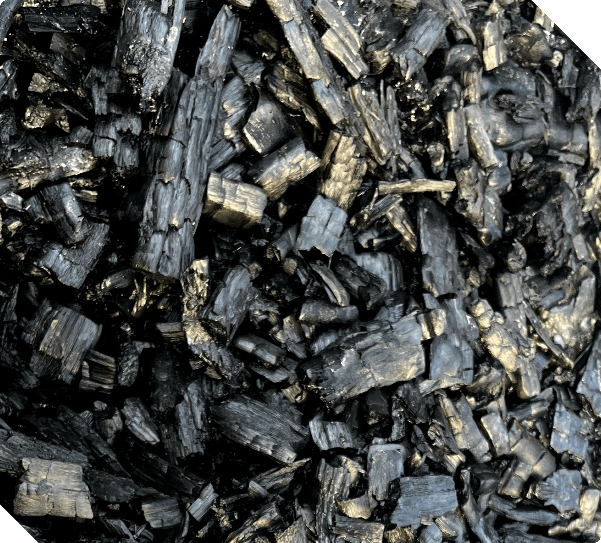 Verified Credit Supply