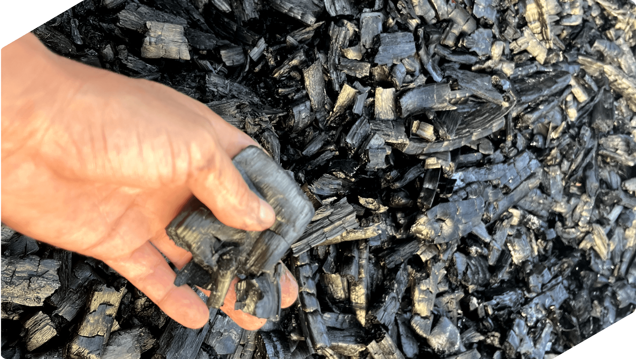 Why Carbon Markets Are Moving From Volume to Value