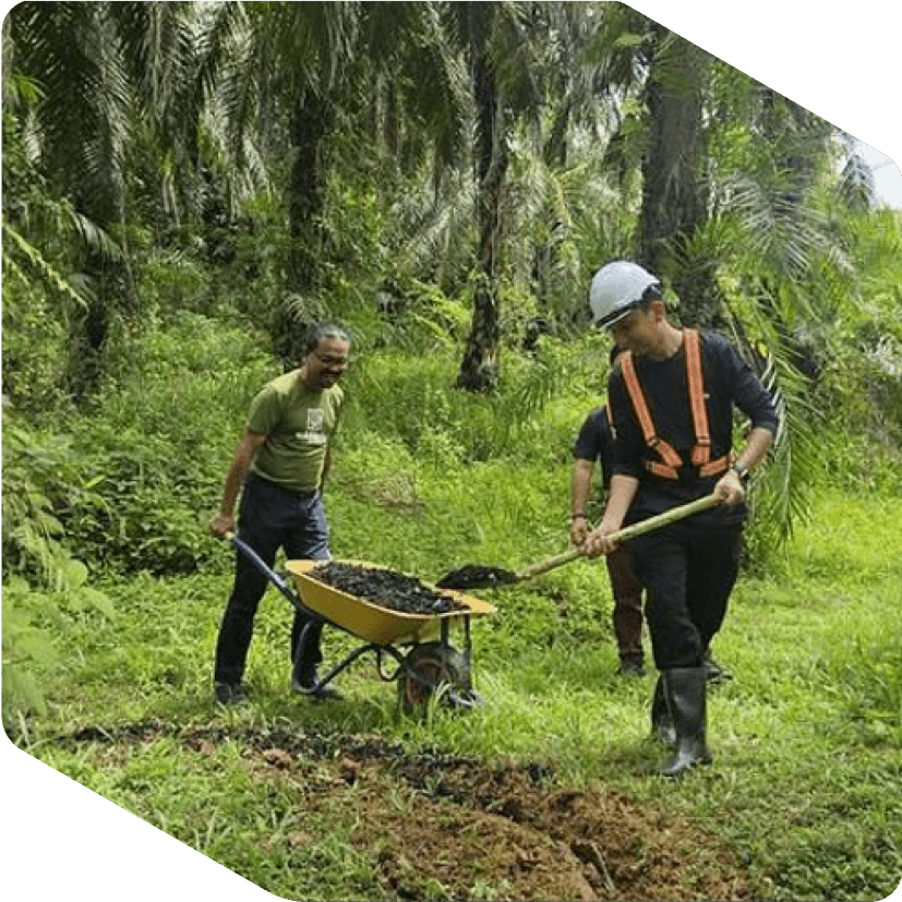 Biochar farmers