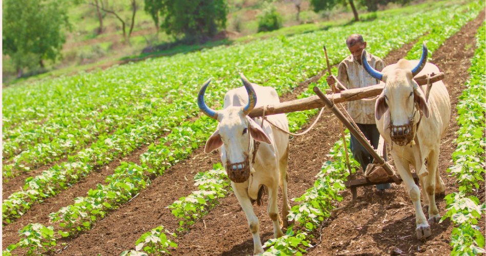 A better way to protect the Earth