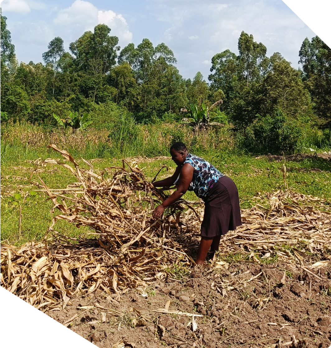 Earn New Income While Regenerating Your Land